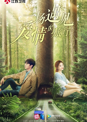 Watch the latest show A Journey to Meet Love with English subtitles for free in Asiaflix