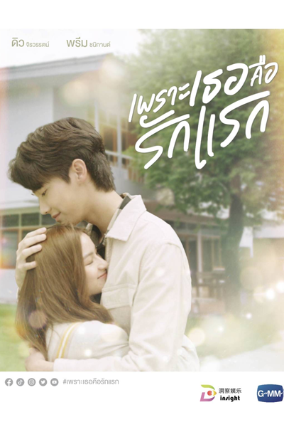 Watch the latest show A Love So Beautiful with English subtitles for free in Asiaflix