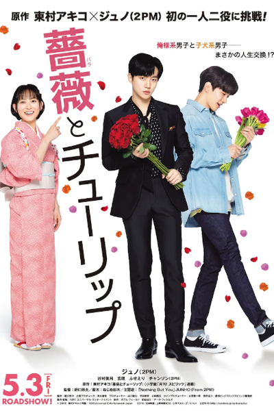Watch the latest show A Rose and a Tulip with English subtitles for free in Asiaflix