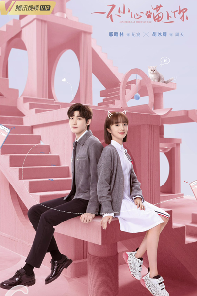Watch the latest show Accidentally Meow On You with English subtitles for free in Asiaflix
