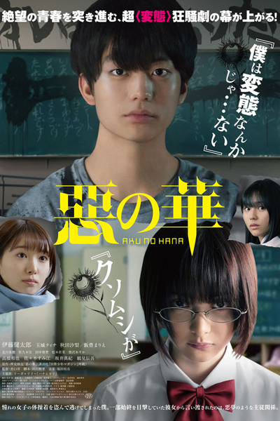 Watch the latest show Aku no Hana with English subtitles for free in Asiaflix