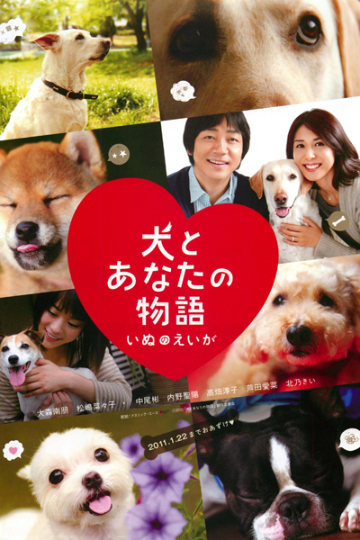 Watch the latest show All About My Dog with English subtitles for free in Asiaflix