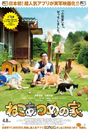 Watch the latest show Cat Collection's House with English subtitles for free in KissAsian
