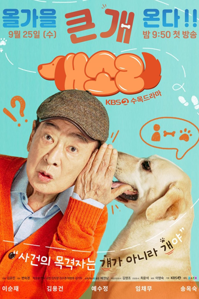 Watch the latest show Dog Knows Everything with English subtitles for free in Asiaflix