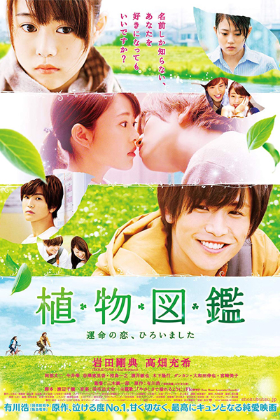 Watch the latest show Evergreen Love with English subtitles for free in Asiaflix