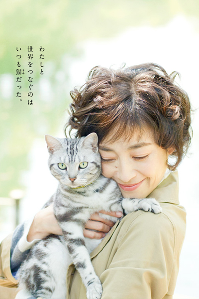Watch the latest show Gou Gou The Cat with English subtitles for free in Asiaflix