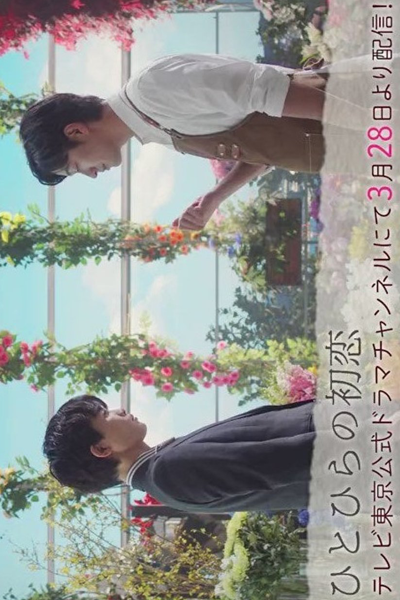 Watch the latest show Hitohira no Hatsukoi with English subtitles for free in Asiaflix