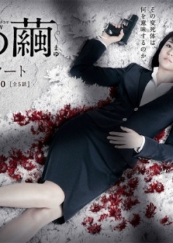 Watch the latest show Ishi no Mayu with English subtitles for free in Asiaflix