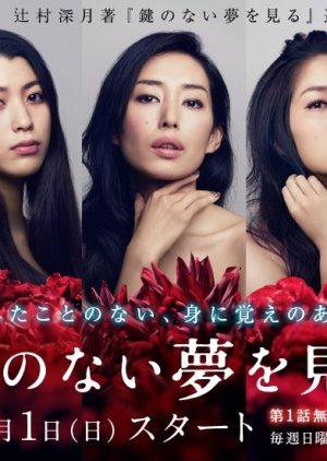 Watch the latest show Kagi no nai Yume wo Miru with English subtitles for free in KissAsian