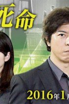 Watch the latest show Kenji no Shime with English subtitles for free in Asiaflix