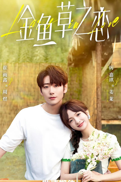 Watch the latest show Liars in Love with English subtitles for free in Asiaflix