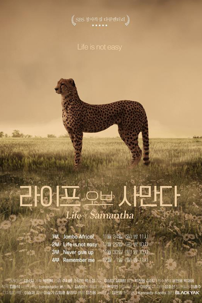 Watch the latest show Life of Samantha with English subtitles for free in Asiaflix