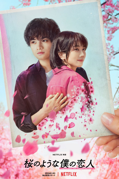 Watch the latest show Love Like the Falling Petals with English subtitles for free in Asiaflix