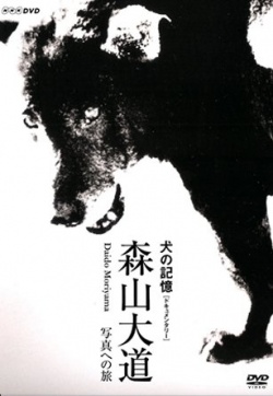Watch the latest show Memories of a Dog with English subtitles for free in KissAsian