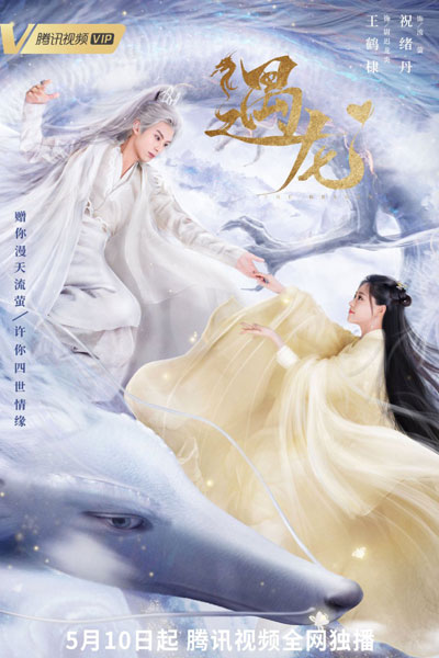 Watch the latest show Miss the Dragon with English subtitles for free in Asiaflix