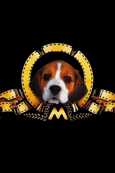 Watch the latest show MMMTV6 with English subtitles for free in Asiaflix