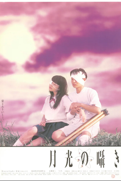 Watch the latest show Moonlight Whispers with English subtitles for free in Asiaflix