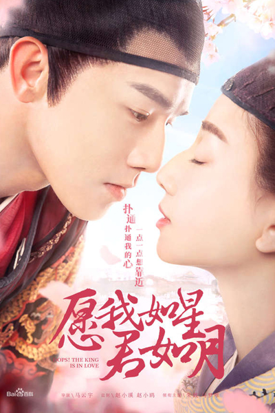 Watch the latest show Oops! The King is in Love with English subtitles for free in Asiaflix