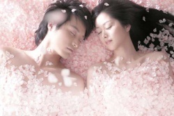 Watch the latest show Sakura Shinjuu with English subtitles for free in Asiaflix