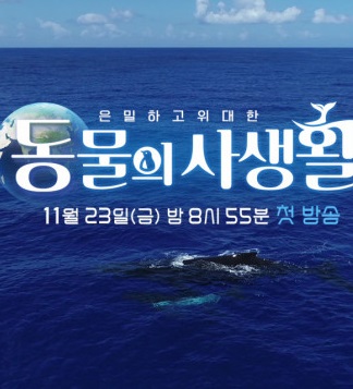 Watch the latest show Secrets of Wildlife with English subtitles for free in Asiaflix