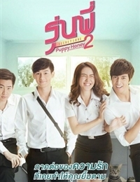 Watch the latest show Senior Secret Love: Puppy Honey 2 with English subtitles for free in KissAsian