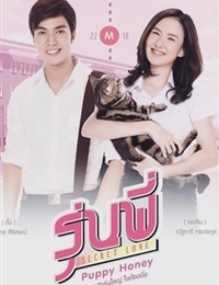 Watch the latest show Senior Secret Love: Puppy Honey with English subtitles for free in KissAsian