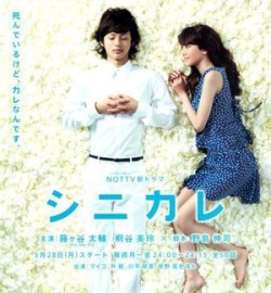 Watch the latest show Shinikare with English subtitles for free in Asiaflix