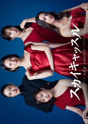 Watch the latest show SKY Castle with English subtitles for free in Asiaflix