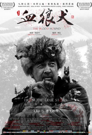 Watch the latest show The Blood Hound 2017 with English subtitles for free in KissAsian