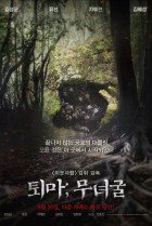 Watch the latest show The Chosen: Forbidden Cave with English subtitles for free in KissAsian