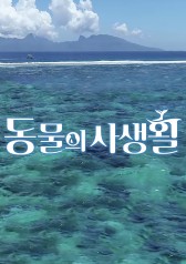 Watch the latest show The Private Lives of Great Animals with English subtitles for free in Asiaflix