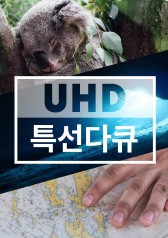 Watch the latest show UHD Special Documentary with English subtitles for free in Asiaflix