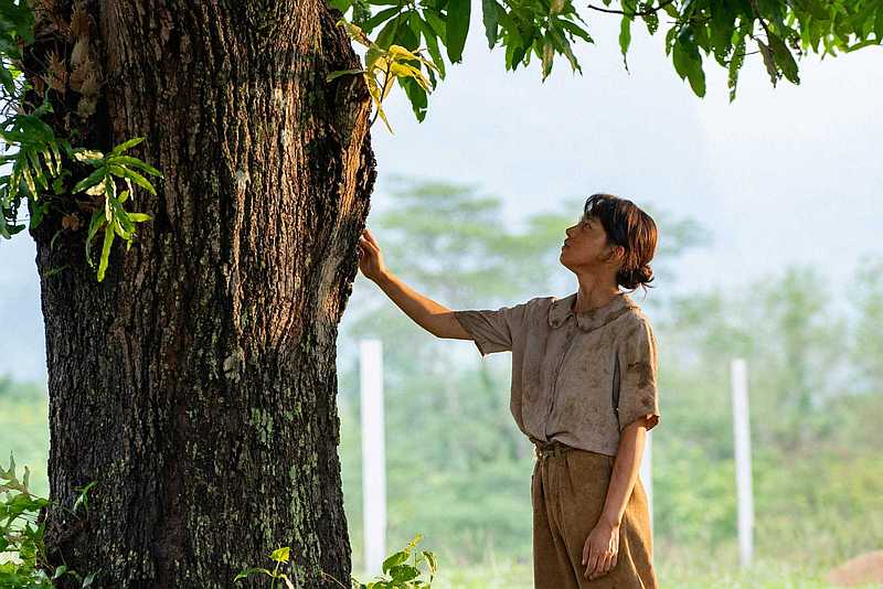 Watch the latest show Under the Mango Tree SP with English subtitles for free in KissAsian