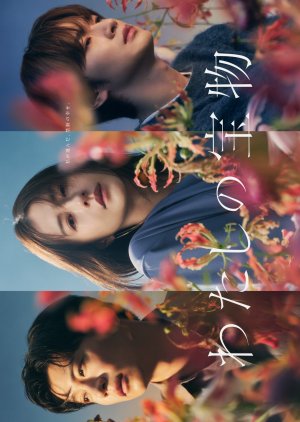 Watch the latest show Watashi no Takaramono with English subtitles for free in Asiaflix