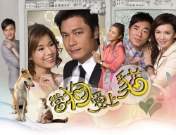 Watch the latest show When a Dog Loves a Cat with English subtitles for free in Asiaflix