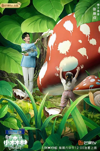 Watch the latest show Wonderful Little Forest with English subtitles for free in Asiaflix