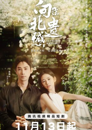 Watch the latest show Xiangbei Regret with English subtitles for free in Asiaflix
